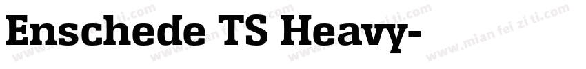 Enschede TS Heavy字体转换